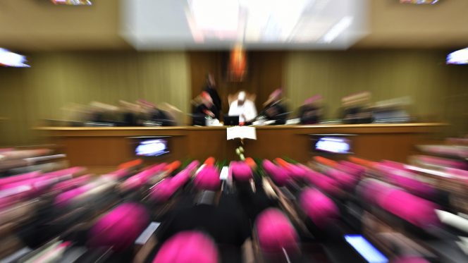 Assemblea generale della Cei in Vaticano